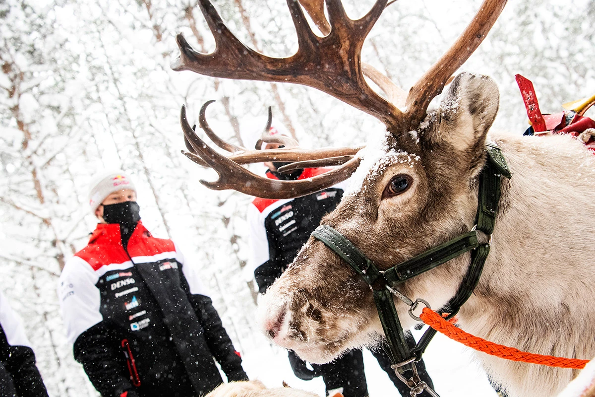 Arctic Rally Finland 2021: расписание